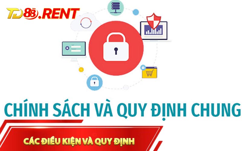 Các điều kiện và quy định TD88 liên quan